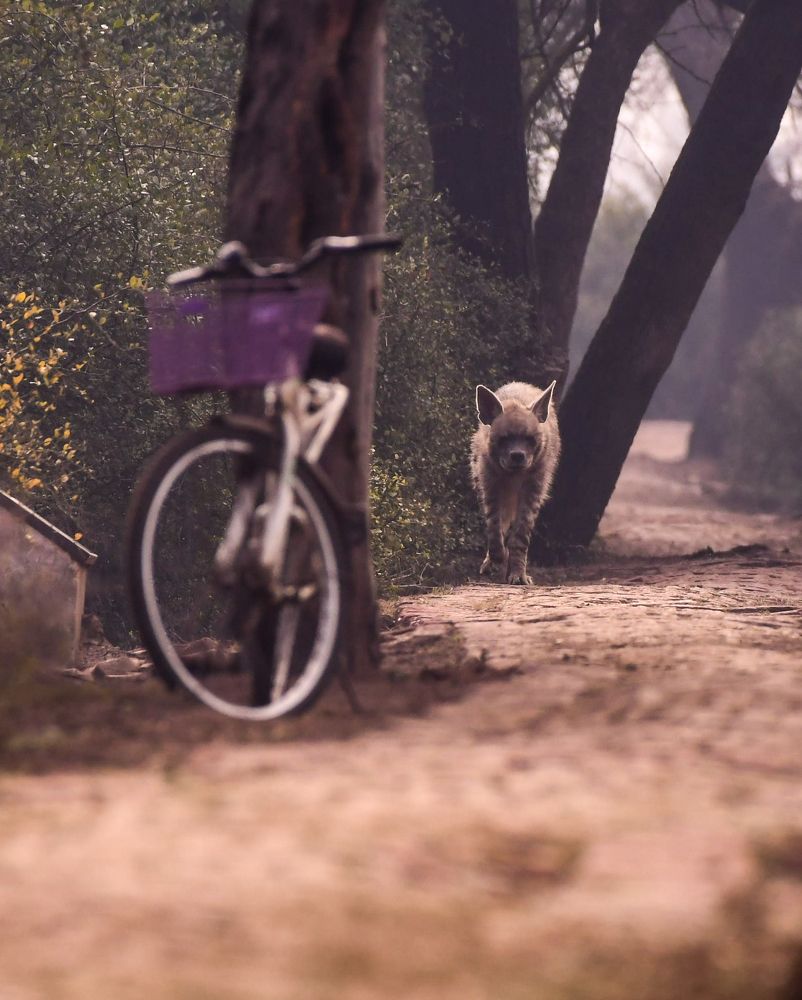 Photograph by Olga Ольга Joshi Джоши