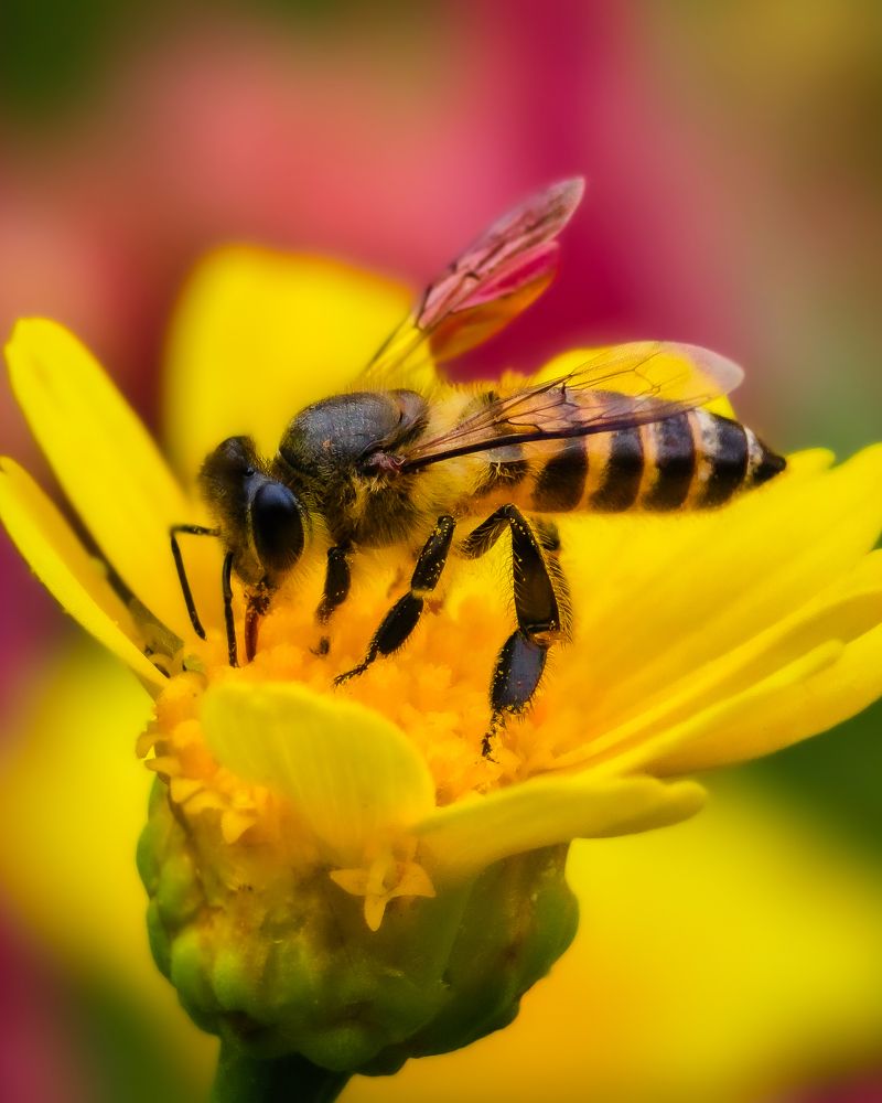 Photograph by Kedarnath M S
