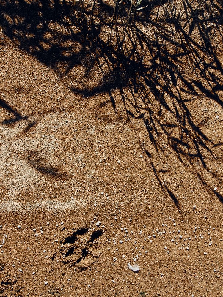 Фотография автора Оксана Мякотина