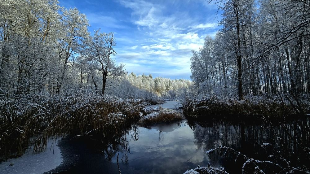 Photograph by Анна Семенова