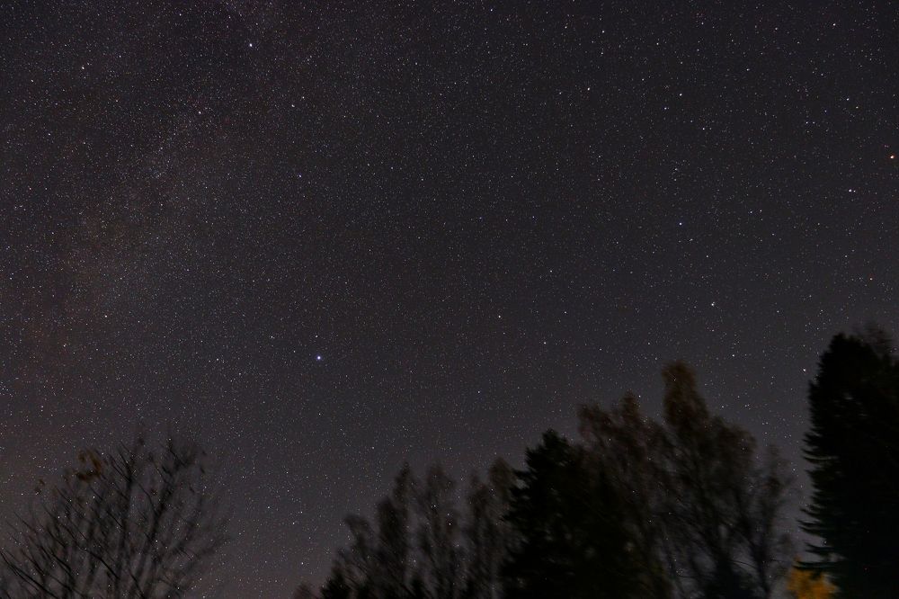 Фотография автора Роман Савин