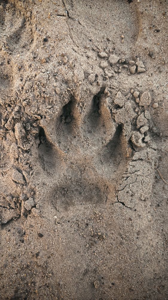 Photograph by Андрей Летов