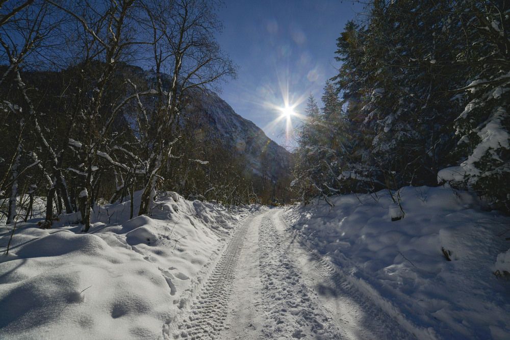 Photograph by Римма Волченко