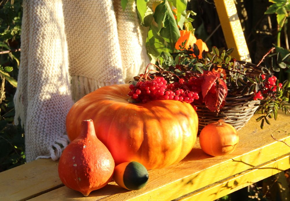 Photograph by Жанна Нечаева