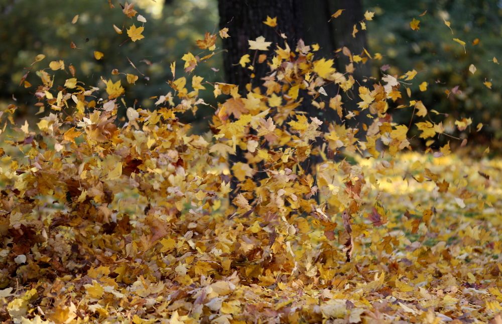 Photograph by Унку Юрий