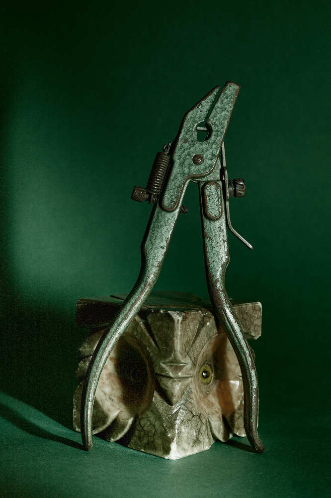 Фотография автора Ekaterina Palant