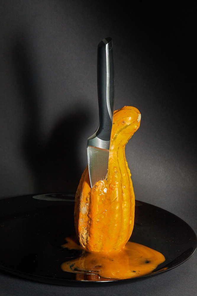 Фотография автора Ekaterina Palant