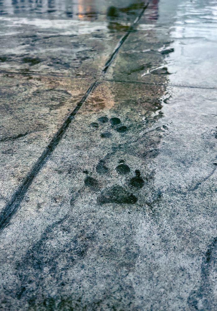 Photograph by Siarhei Saladukhin