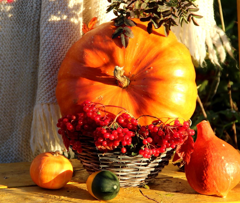 Photograph by Жанна Нечаева