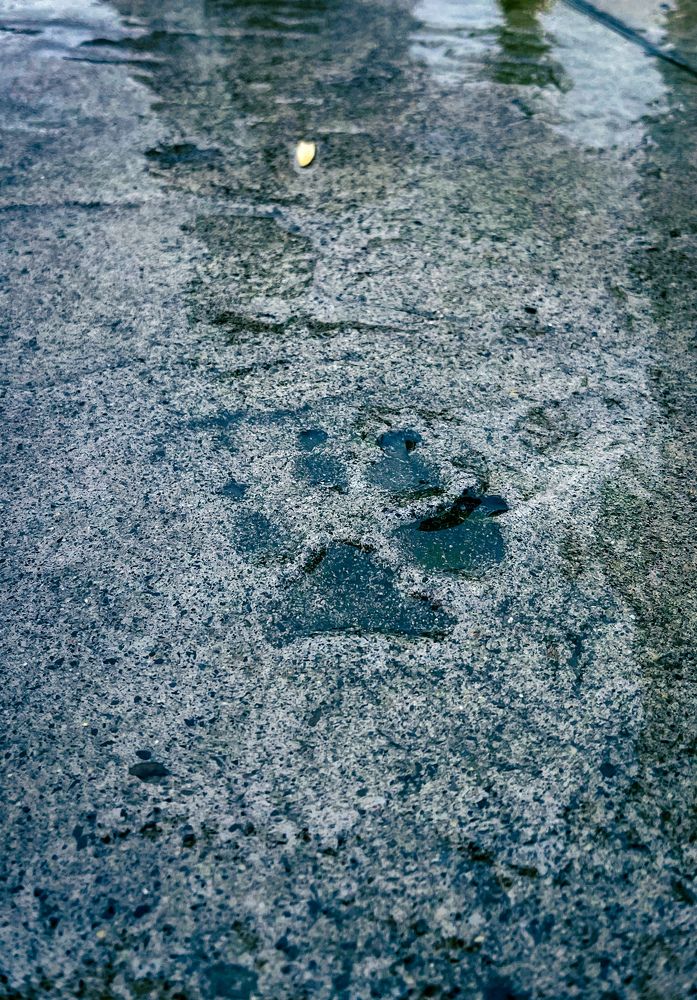 Photograph by Siarhei Saladukhin