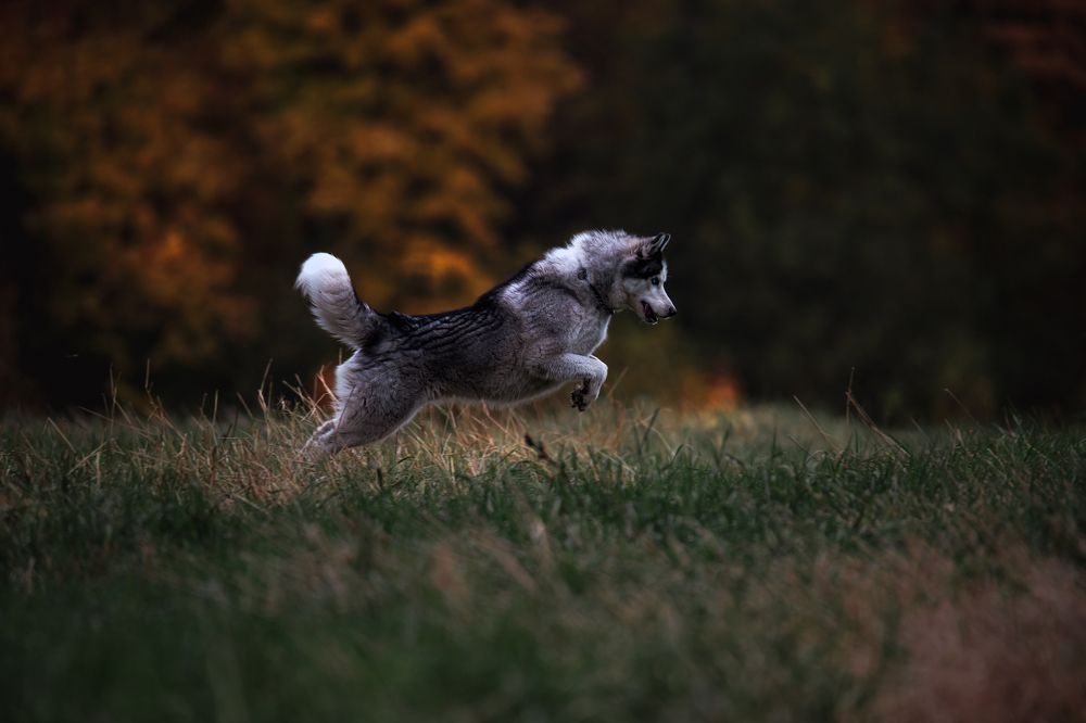 Photograph by Мария Ирешева