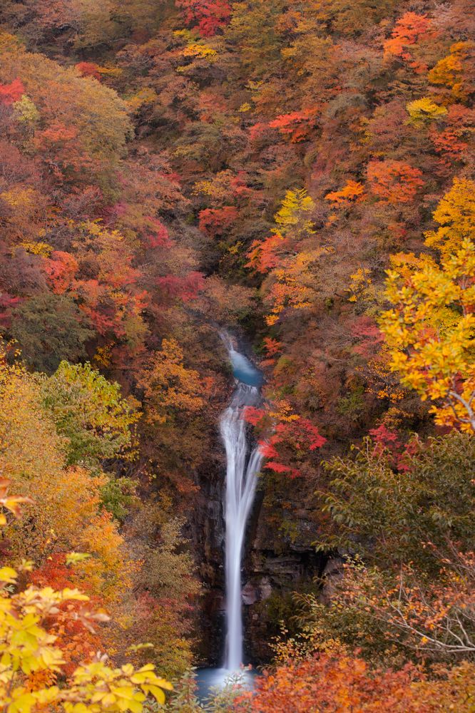Photograph by LE HUY HUNG