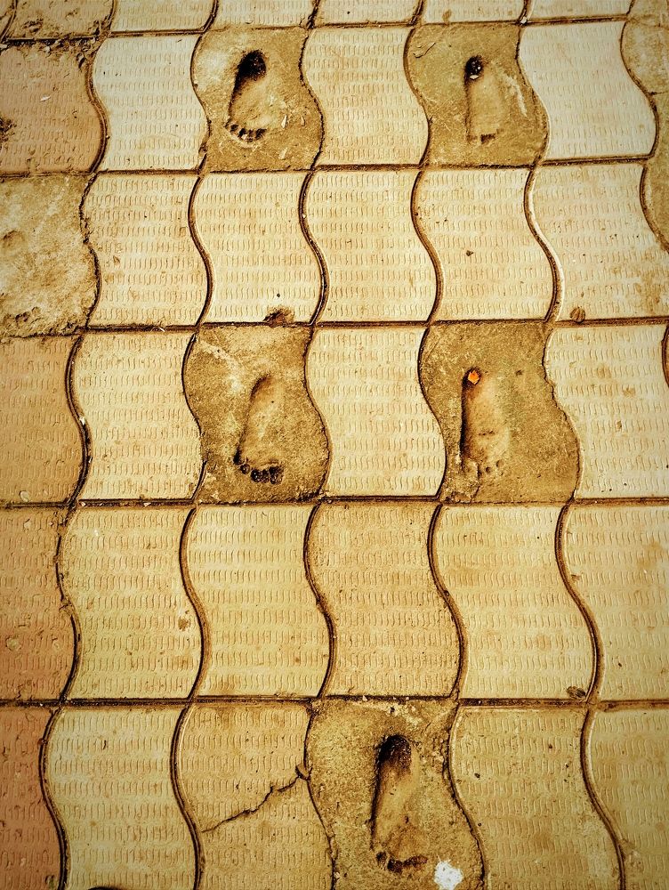 Photograph by Владимир Ким