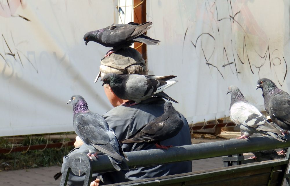 Photograph by Ирина Арканова