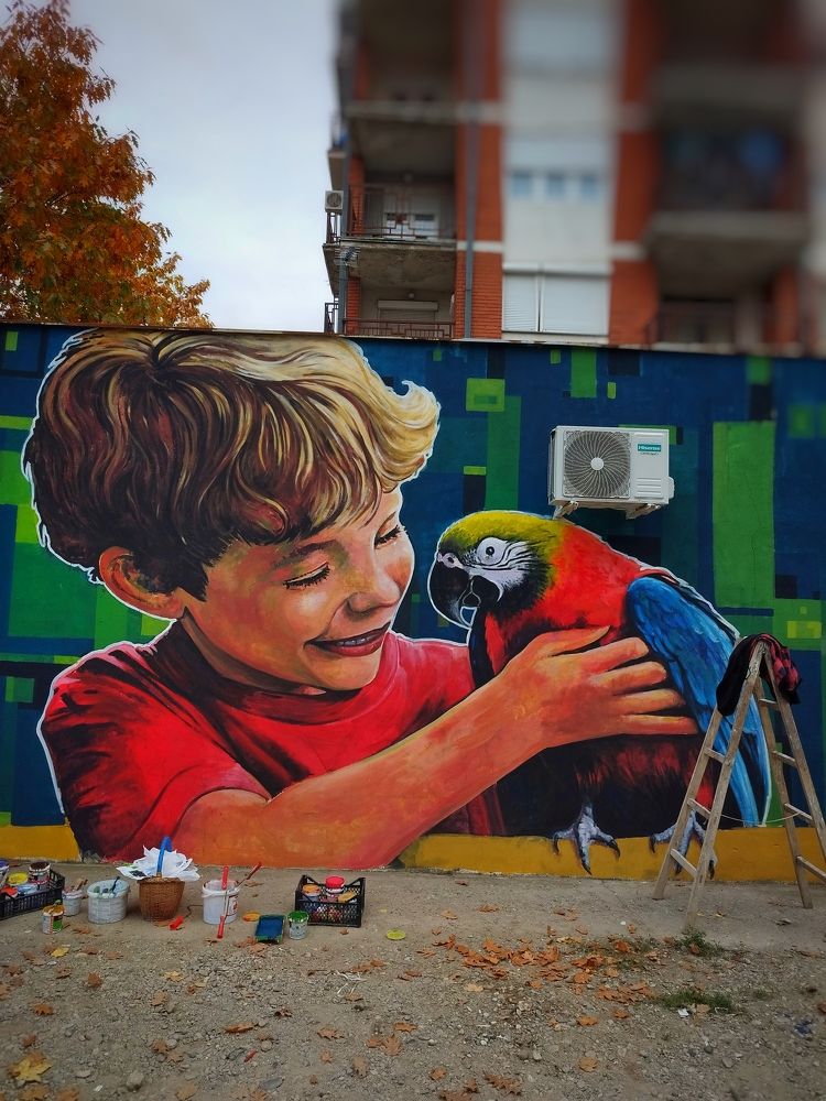 Фотография автора JELENA VASIC