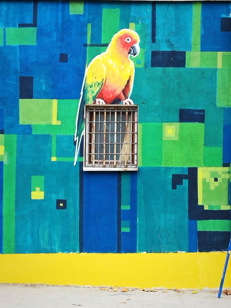 Фотография автора JELENA VASIC