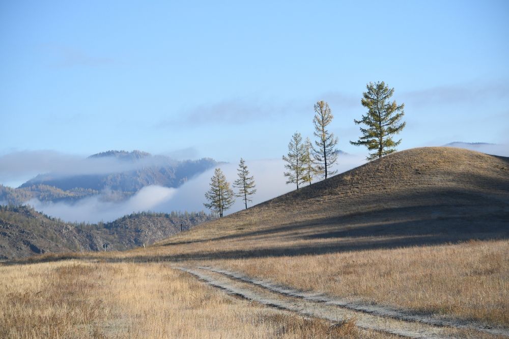 Photograph by Виталий Попов