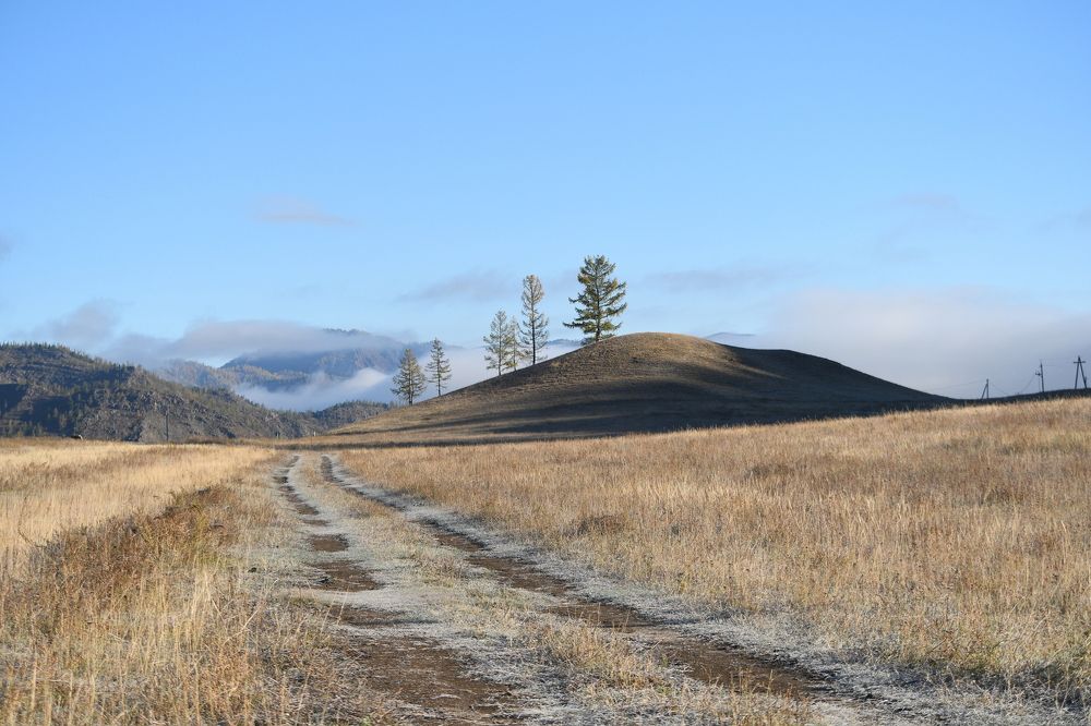 Photograph by Виталий Попов