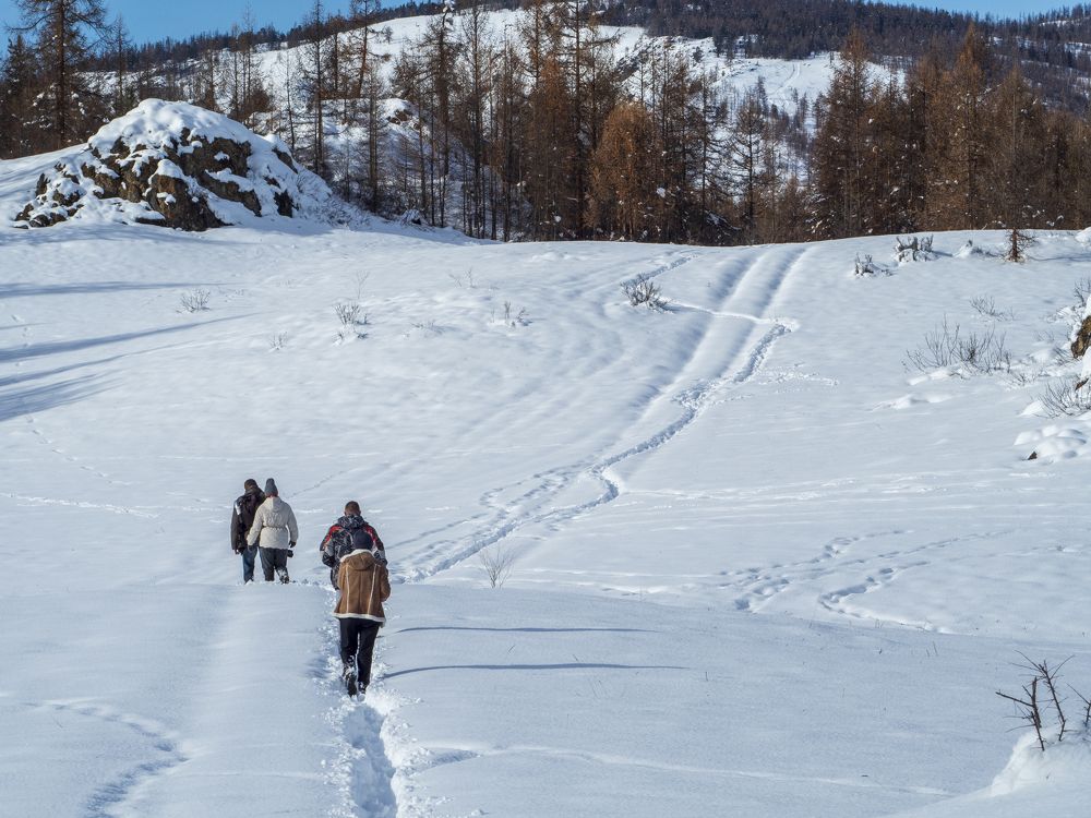 Photograph by Надежда Михайлина