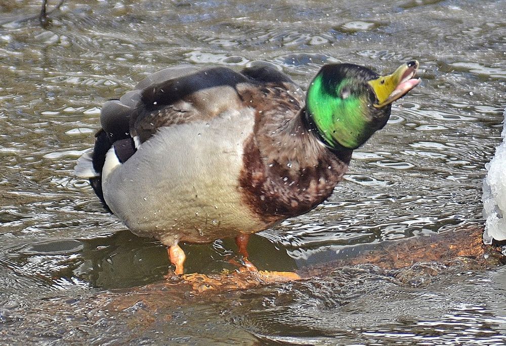 Photograph by Леонид Владимирович