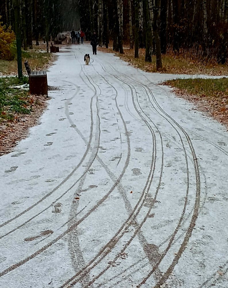 Photograph by Евгений Савулькин