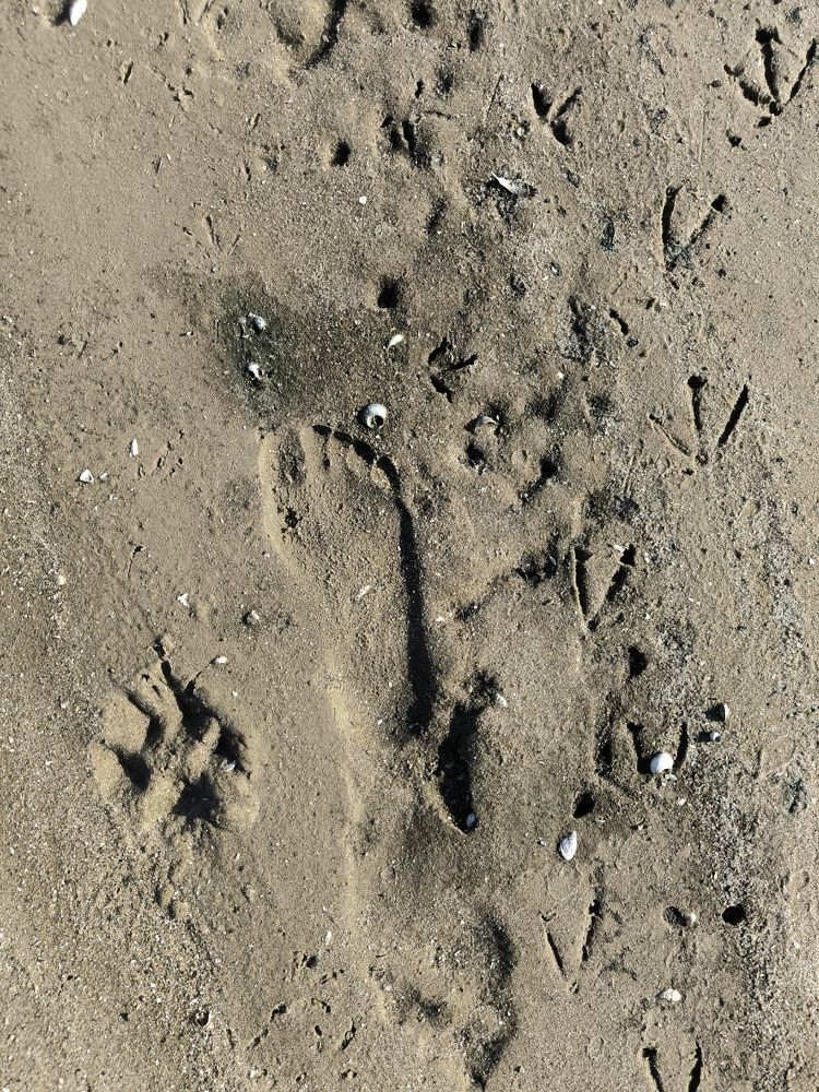 Фотография автора Екатерина Солодовник