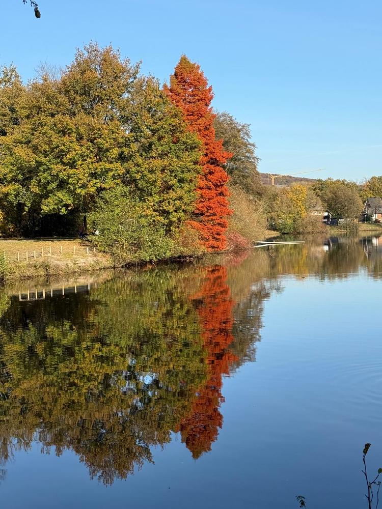 Photograph by Viktor Dikmann