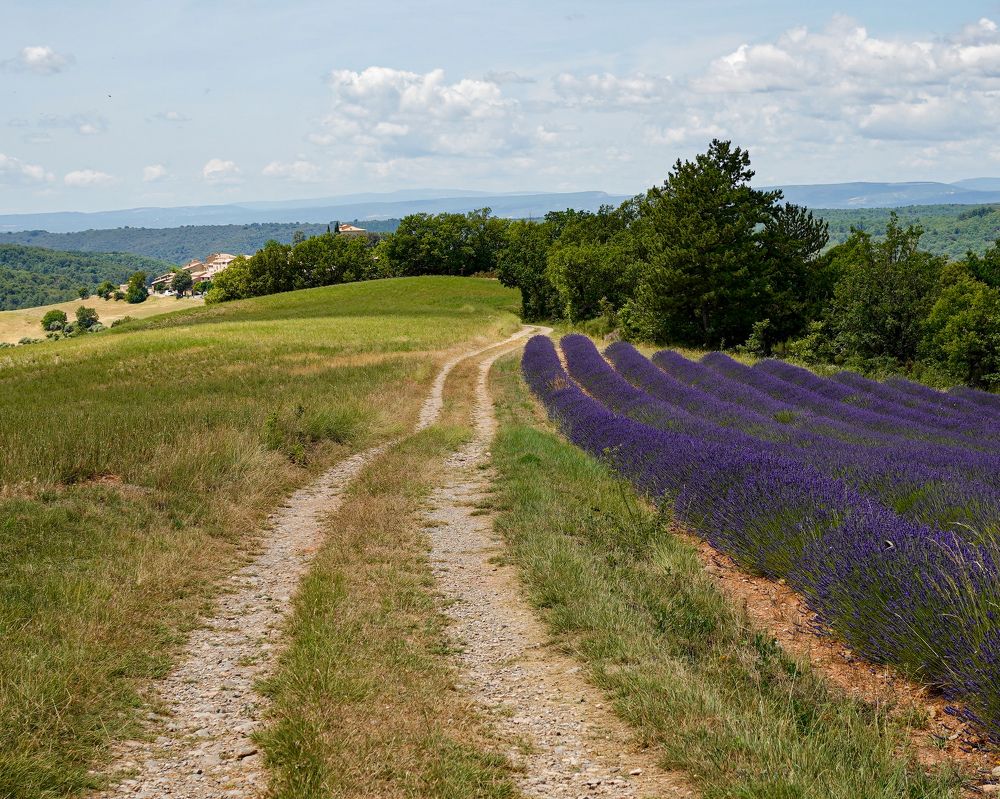 Photograph by Marina Odintsova