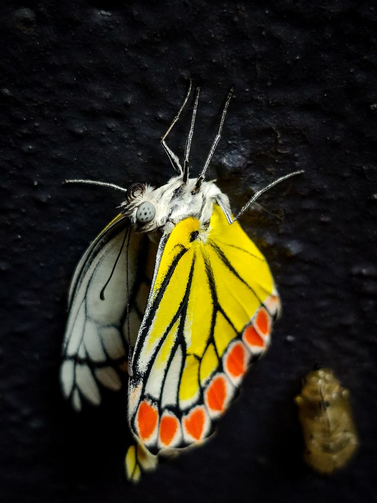 Photograph by Jaspreet Singh