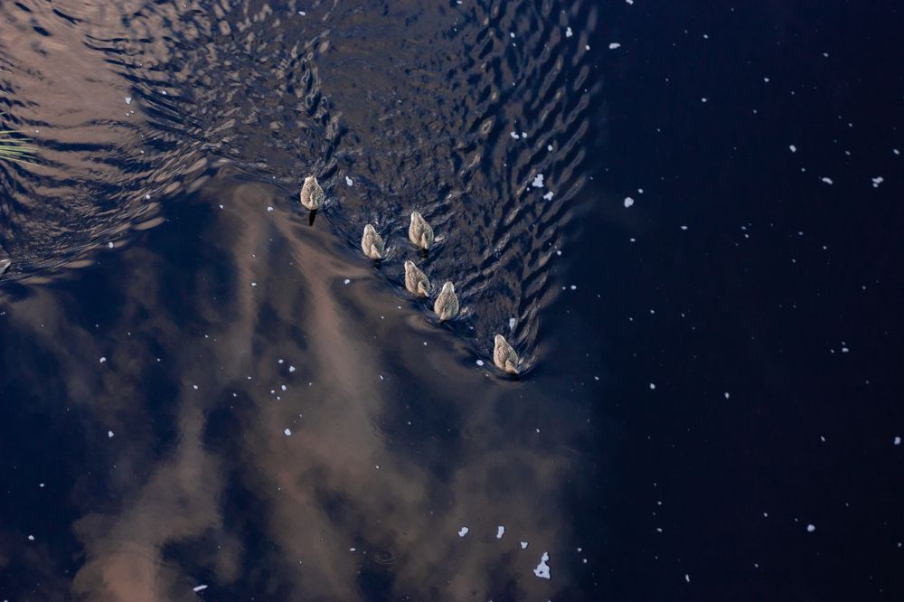 Photograph by Никита Павлов