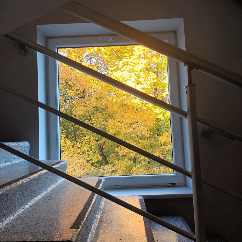 Фотография автора Maks Lanister