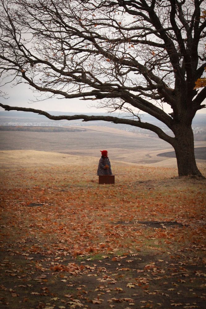 Photograph by Елена Толстопятова