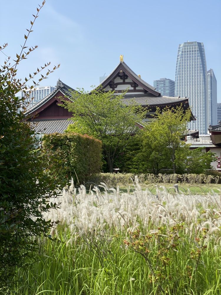 Фотография автора Бакалова Ирина