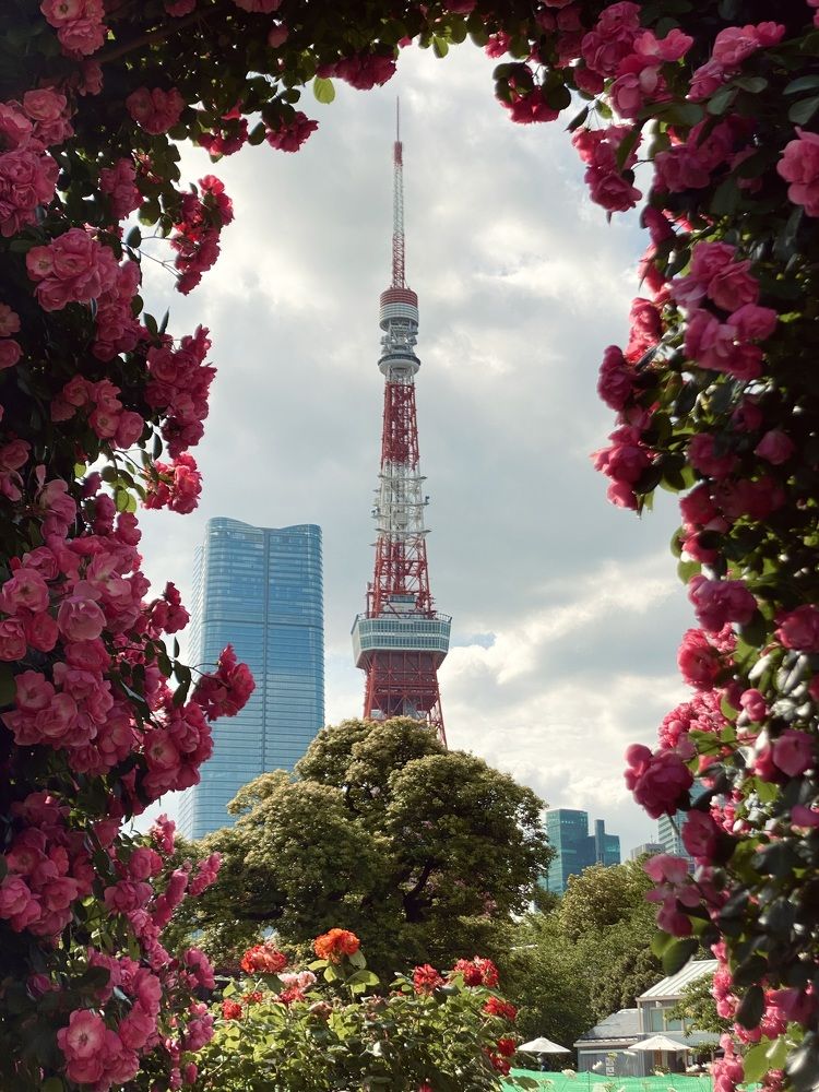 Фотография автора Бакалова Ирина