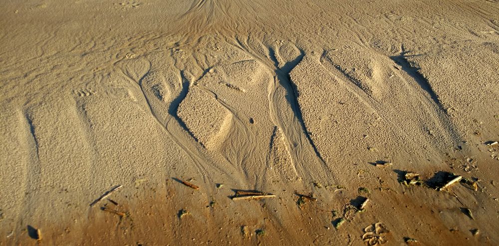 Photograph by Ирина Арканова