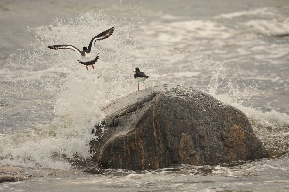 Photograph by Юрий Яковлев