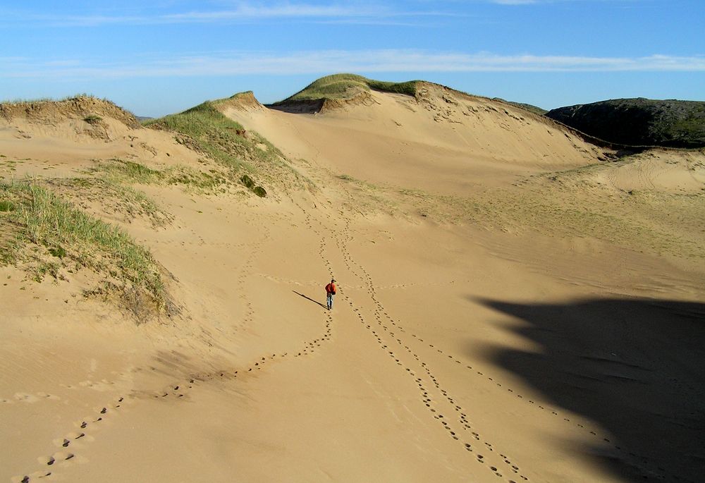 Photograph by Ирина Арканова