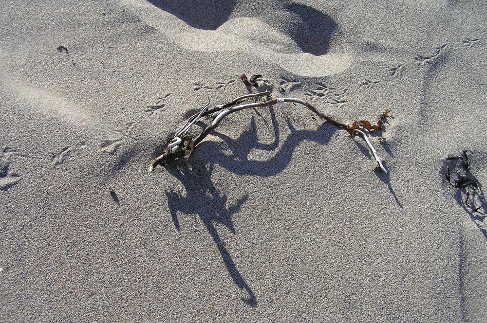 Photograph by Ирина Арканова