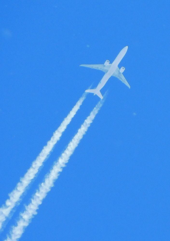 Photograph by Сергей Чеченов