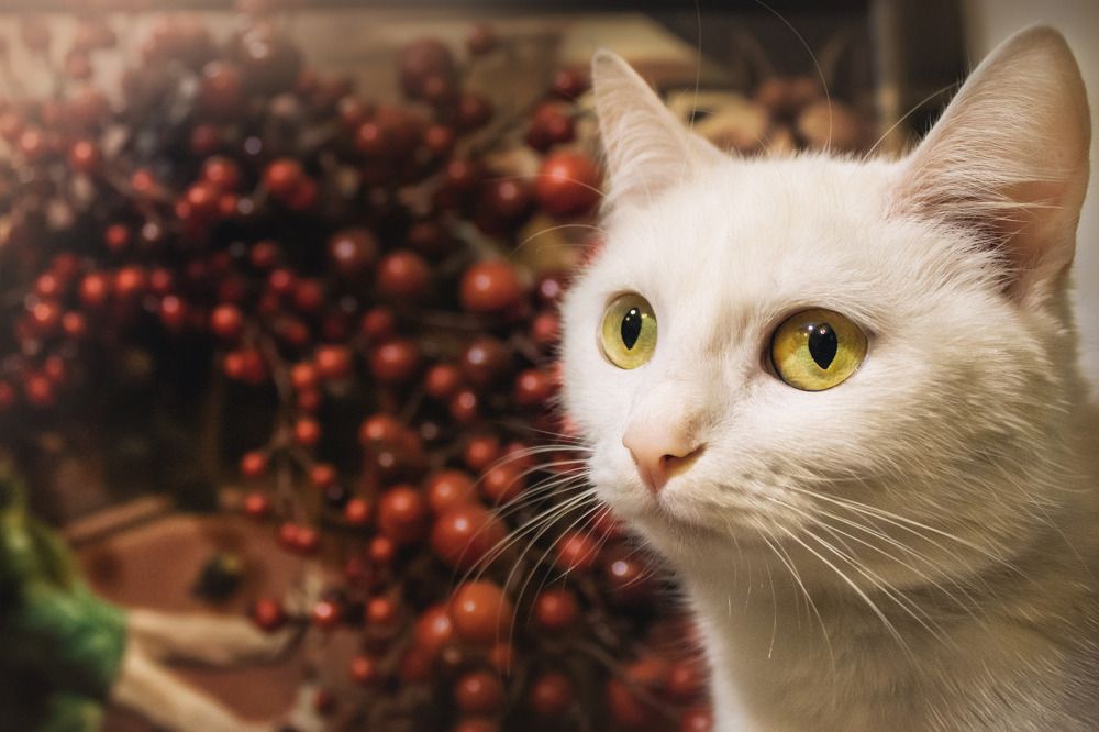 Photograph by  Art Work