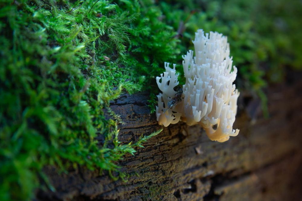 Photograph by Андреев Роман