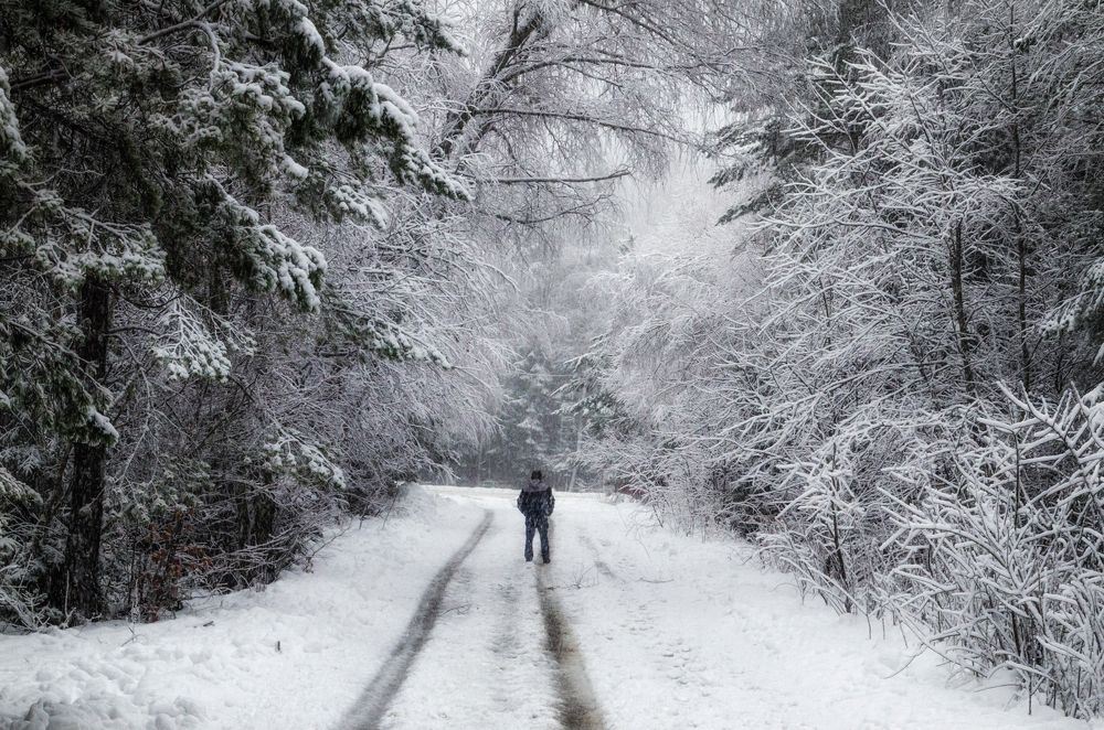 Photograph by Иван Достовалов