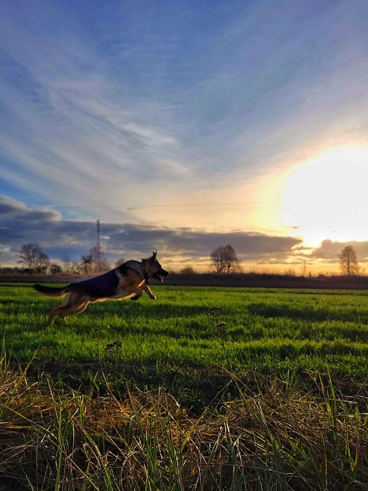 Photograph by Алина