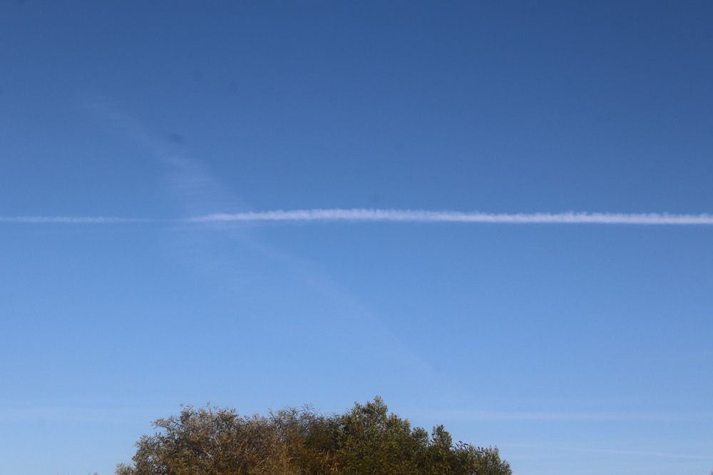 Photograph by Natalya Sedina