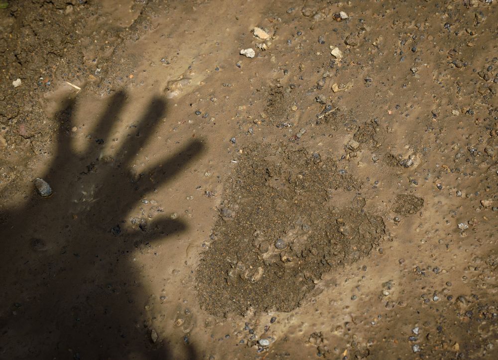 Фотография автора Мария Рохмистрова