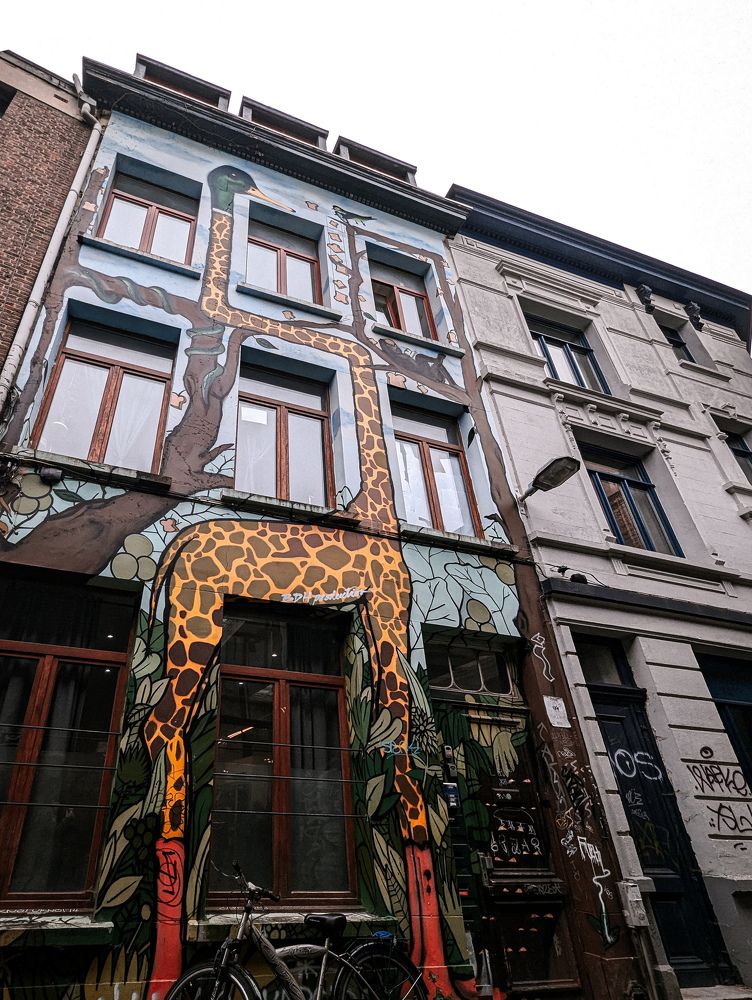 Фотография автора Ксения Шляйхер