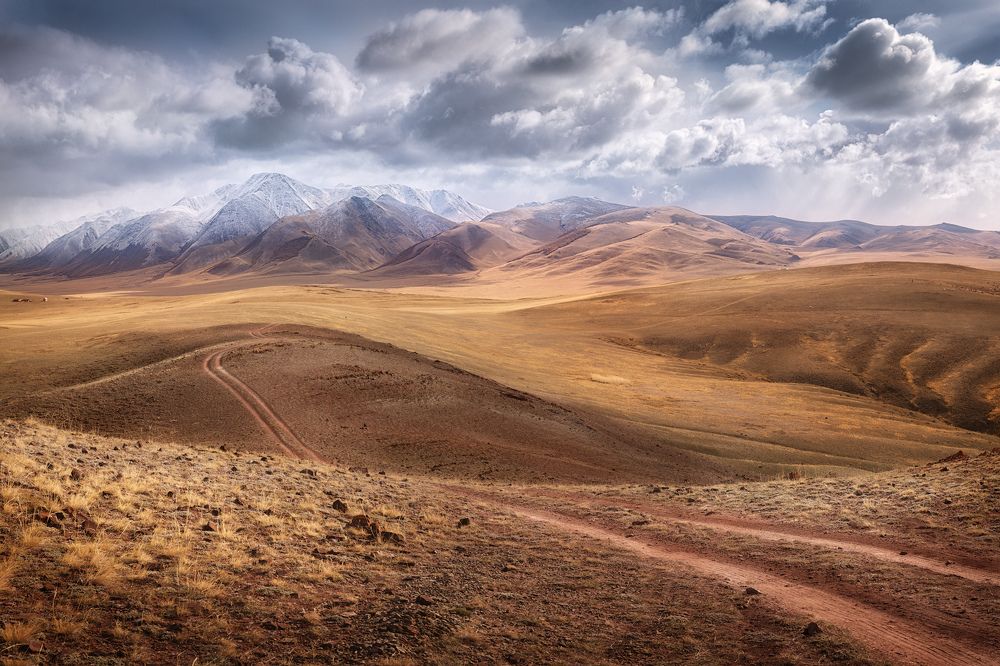 Photograph by Dmitry Medyancev