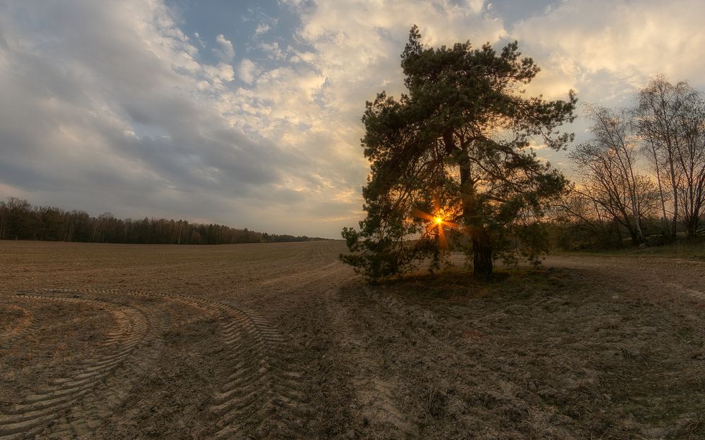 Photograph by Сергей Дишук