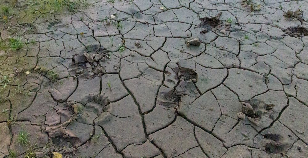 Photograph by Beshenyaga Media