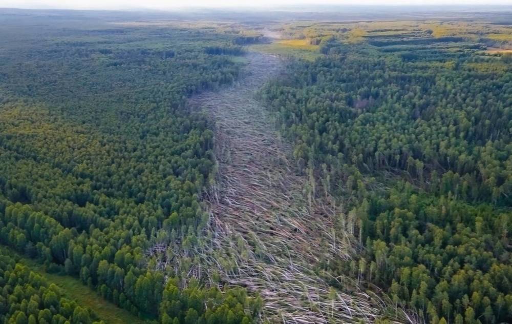 Photograph by Beshenyaga Media